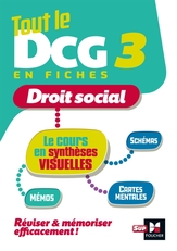 Tout le DCG 3 :  mémo cartes - Révision 2022-2023